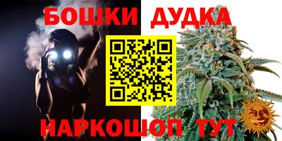 стаф Усть-Илимск