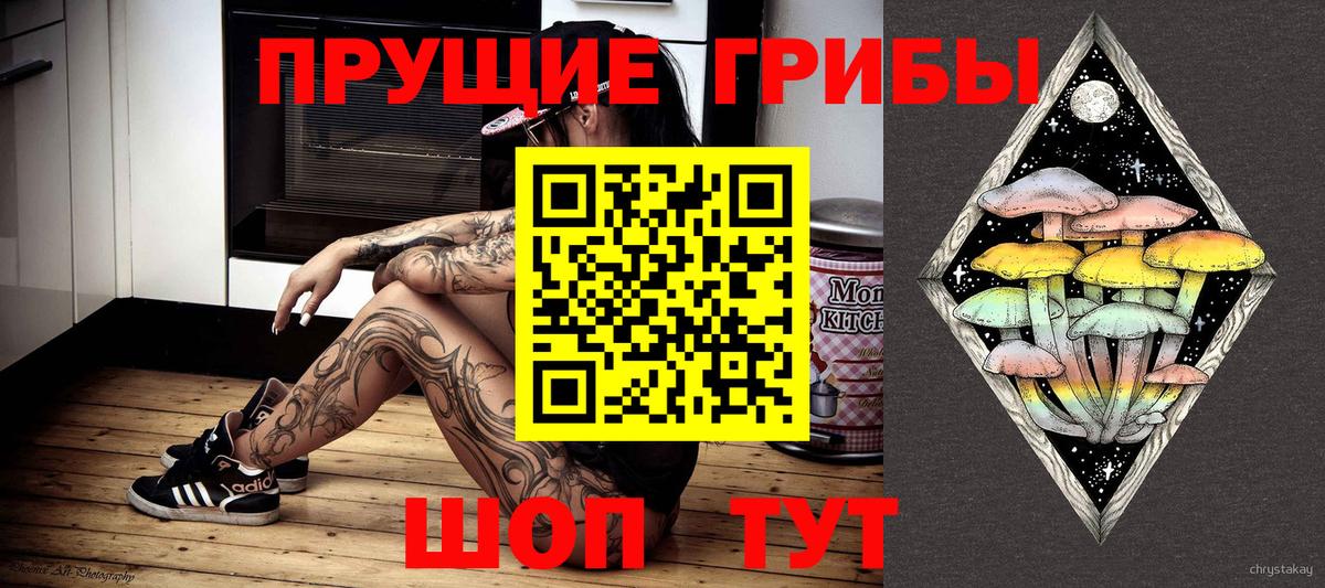 Галлюциногенные грибы ЛСД  Вход с VPN  Новошахтинск 